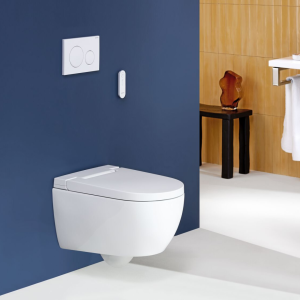 Geberit AquaClean Alba