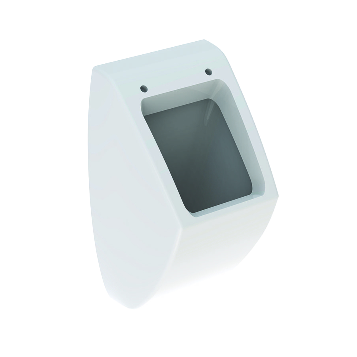 Geberit pisoar Pareo, za poklopac, dovod od pozadi, odvod ka pozadi, 30 cm